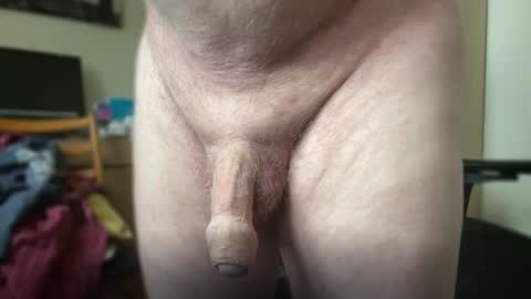 Togbear online show from October 9, 8:34 am