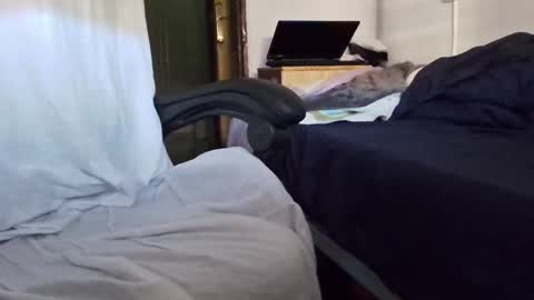 Snapshot of tolon408472 chatting on November 4, 2:38 pm tolon408472 online show from November 4, 2:38 pm