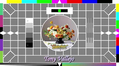 Tony V online show from October 14, 9:54 am