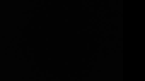 tooobvious online show from January 10, 4:33 am