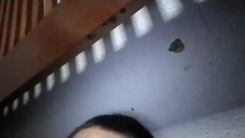 torresabel762 online show from April 19, 10:14 am