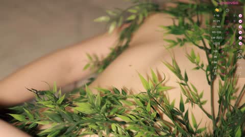 Toshi online show from December 9, 4:05 pm