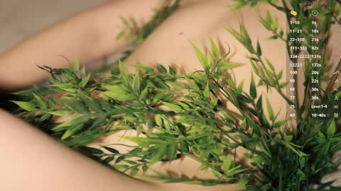 Toshi online show from April 5, 1:08 pm