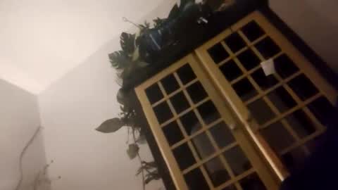 Snapshot of trans167456 chatting on December 19, 9:49 am trans167456 online show from December 19, 9:49 am