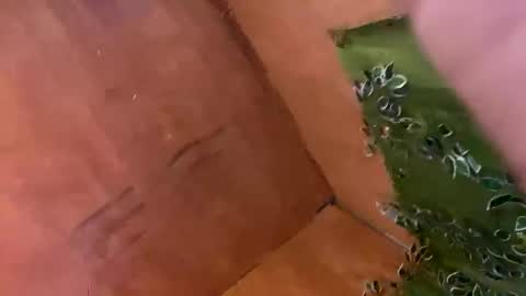 Snapshot of trebz_01 chatting on November 17, 7:58 am trebz_01 online show from November 17, 7:58 am