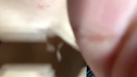 trebz_01 online show from April 14, 12:33 pm