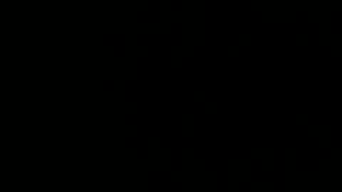 treeguyroc online show from March 5, 2:40 am