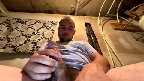 trees559 online show from March 17, 5:33 am