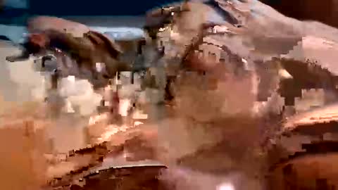 trigood online show from February 13, 2:01 am