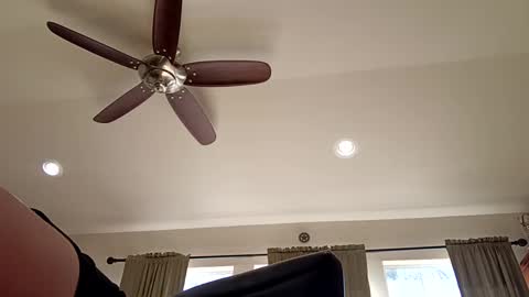 trillnonymau5 online show from December 21, 6:34 pm