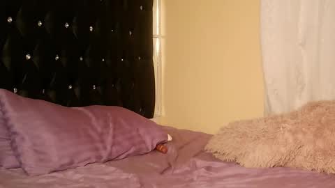 trinatrina94 online show from December 19, 2:40 am