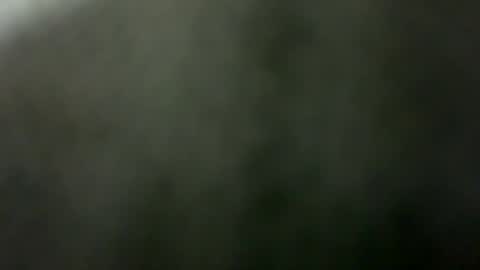 Snapshot of tripit1 chatting on December 21, 8:43 am tripit1 online show from December 21, 8:43 am