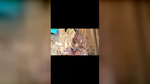 Trishia00 online show from December 4, 11:19 am