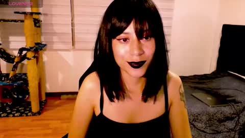 Snapshot of tryp666 chatting on November 29, 7:22 am Cait online show from November 29, 7:22 am