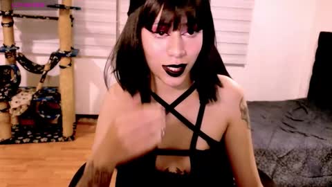 Snapshot of tryp666 chatting on December 20, 4:41 am Cait online show from December 20, 4:41 am