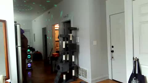 Snapshot of tsamberwhite007 chatting on February 2, 7:46 pm Amber White online show from February 2, 7:46 pm