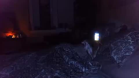 Snapshot of tsamberwhite007 chatting on October 29, 3:20 am Amber White online show from October 29, 3:20 am