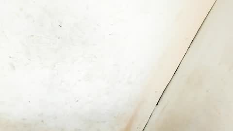 MA NI KA online show from January 11, 6:35 am