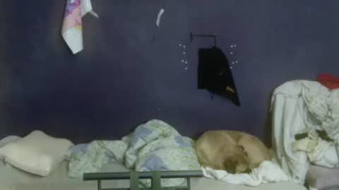 turkishtranswithsurgery online show from April 12, 8:47 pm