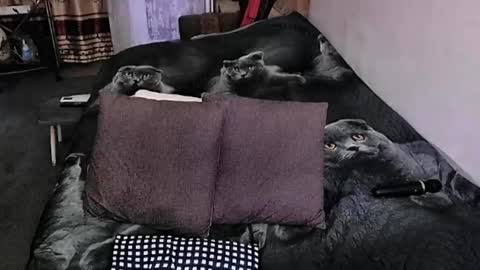 Lana online show from September 20, 10:55 pm