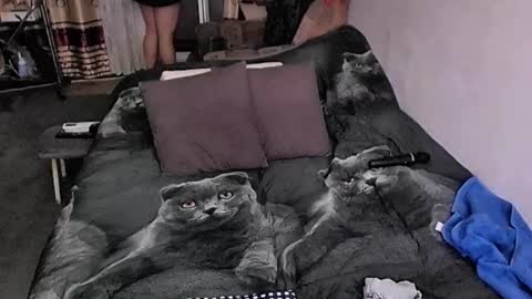 Lana online show from October 9, 9:35 pm