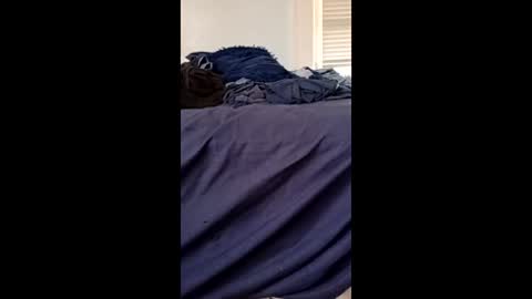 twe4kseeker online show from April 21, 8:55 pm