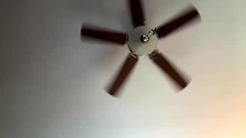 twerkandjerkk online show from April 16, 1:23 pm