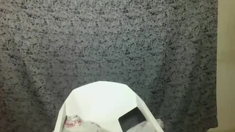 twerker_lyly online show from October 7, 7:00 pm