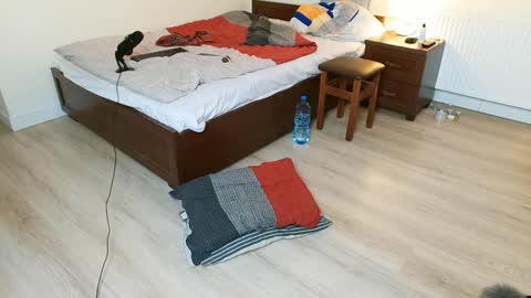 Vicky  Victor online show from December 12, 3:54 am