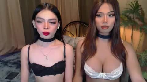 Snapshot of twinktransshanel chatting on October 6, 4:21 am twinktransshanel online show from October 6, 4:21 am