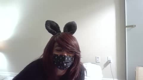 twinkyteddy online show from October 8, 10:07 pm