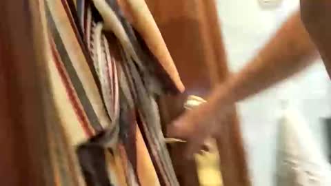 txatehard online show from January 15, 7:13 am