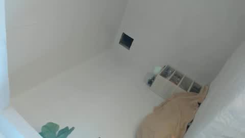 KIM online show from April 19, 4:45 am