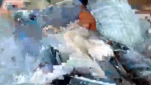 usabound online show from October 16, 12:39 pm