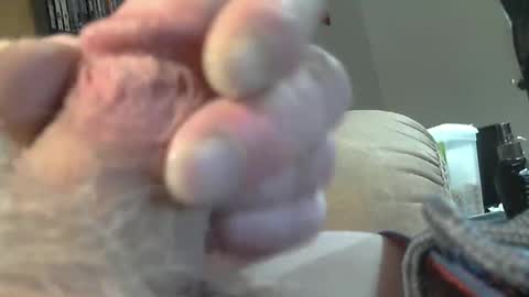 Snapshot of usmcmark63 chatting on February 19, 8:31 pm lookin for free fun online show from February 19, 8:31 pm