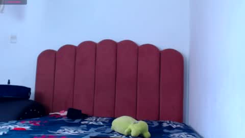 Snapshot of valerybaker1 chatting on January 2, 5:18 pm B V Naughty online show from January 2, 5:18 pm