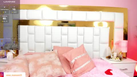 Snapshot of vane_manson chatting on December 27, 4:21 pm vane_manson online show from December 27, 4:21 pm