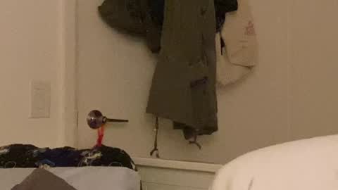 Snapshot of vanessapark chatting on December 24, 10:33 am Vanessa online show from December 24, 10:33 am