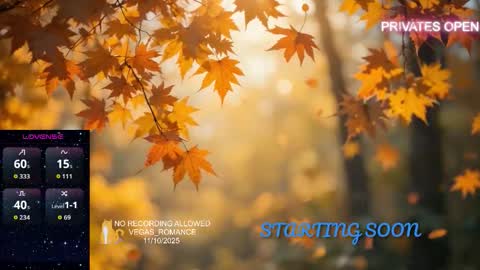 Snapshot of vegas_romance chatting on November 11, 12:43 am vegas_romance online show from November 11, 12:43 am