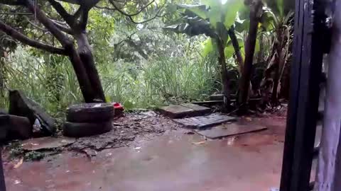 venus ... zeus sheer  online show from October 27, 1:37 pm