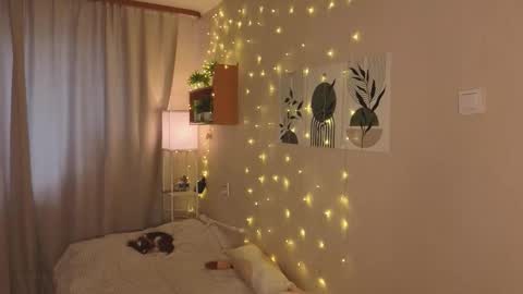 Snapshot of verocat chatting on November 11, 11:21 am Veronica online show from November 11, 11:21 am