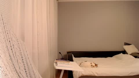 Snapshot of vibezgirl chatting on February 5, 5:09 pm Amelia online show from February 5, 5:09 pm