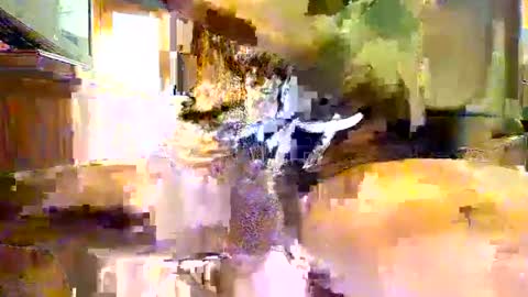 Snapshot of viizin chatting on February 23, 6:28 am viizin online show from February 23, 6:28 am