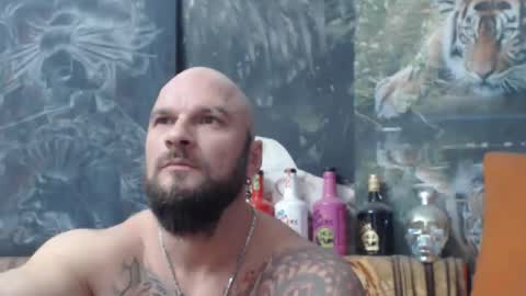 viking online show from November 17, 7:41 pm