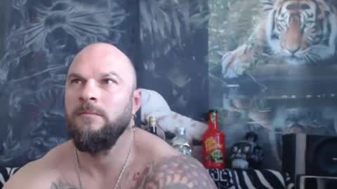 viking online show from April 14, 6:19 am