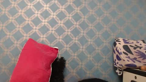 Violeta  online show from January 10, 10:15 pm