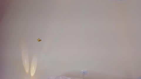 Snapshot of violett_24_ chatting on November 29, 11:30 pm violett_24_ online show from November 29, 11:30 pm