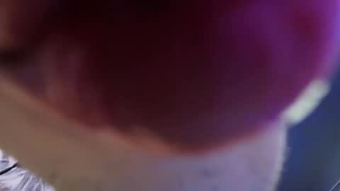Snapshot of vittorio_cerati chatting on May 29, 3:43 pm new acount online show from May 29, 3:43 pm