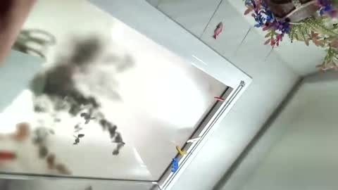 Snapshot of vivid_ether chatting on December 6, 11:54 am Viv online show from December 6, 11:54 am