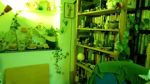 Viv online show from March 2, 4:10 pm